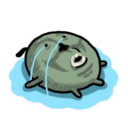 User 9